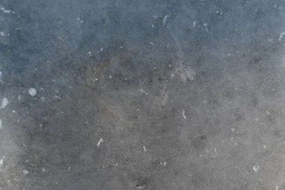 Casino Coins Game Podrška